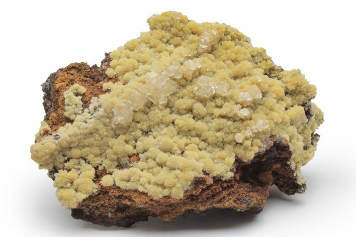 Mimetite Crystal Clusters on Limonitic Matrix - Mexico #220626